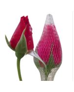 Tulip Flower Decor